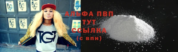 стаф Волоколамск
