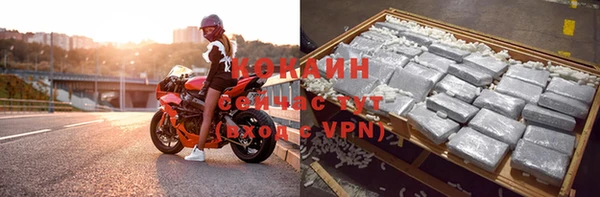 стаф Волоколамск
