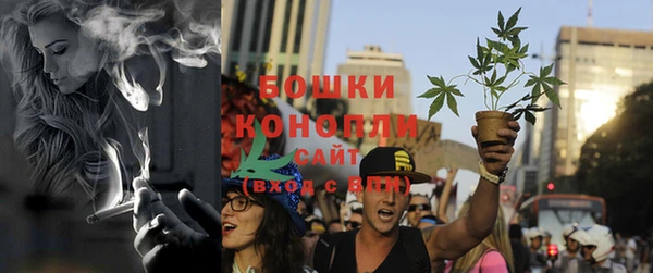 стаф Волоколамск